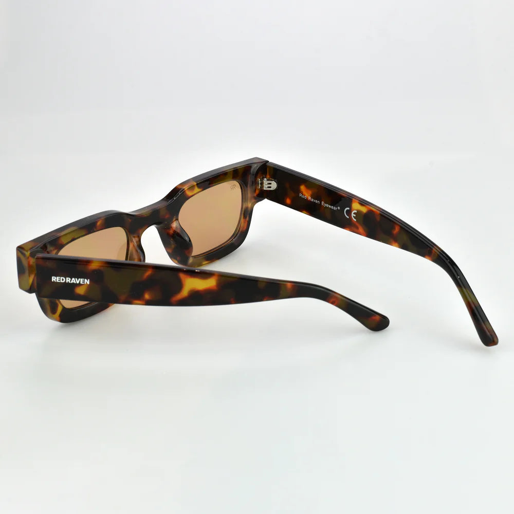 casper_tortoise_orange_3